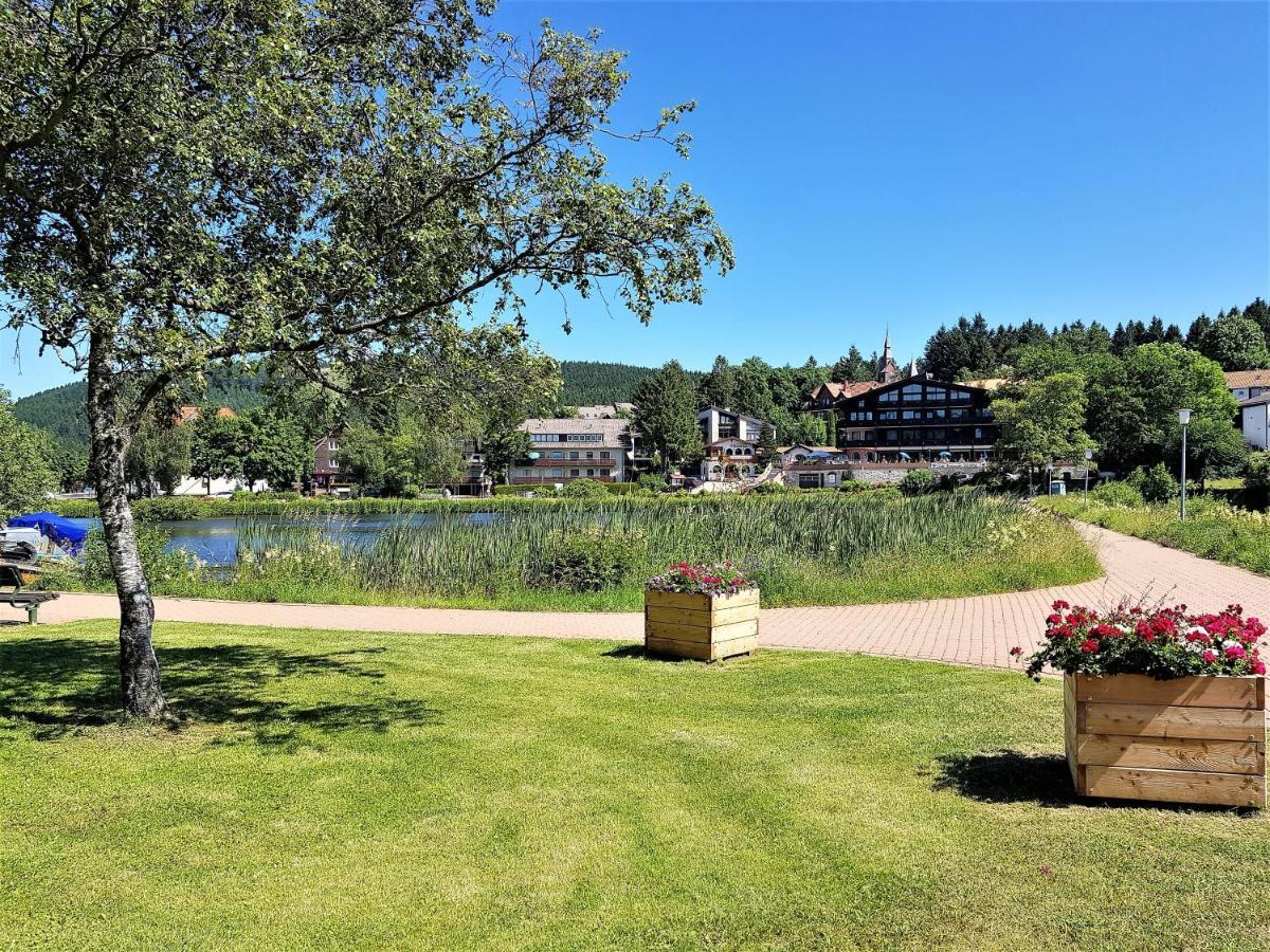 Grossdorf Appartement En Vogue Im Hahnenklee, Harz Goslar Ngoại thất bức ảnh