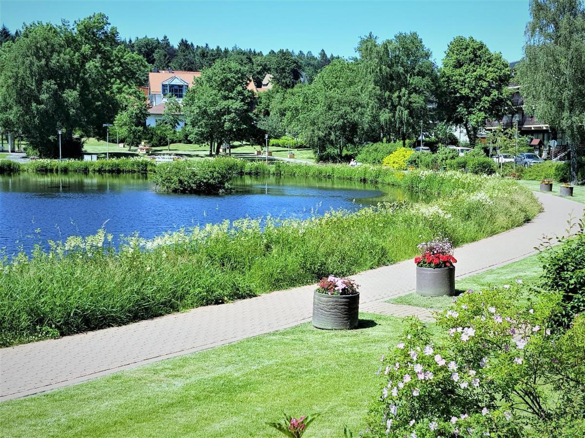 Grossdorf Appartement En Vogue Im Hahnenklee, Harz Goslar Ngoại thất bức ảnh